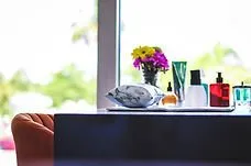 Beauty Products
